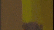 chavo del 8 GIF by Grupo Chespirito