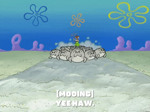 season 5 blackened sponge GIF by SpongeBob SquarePants