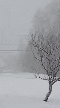 Snow Squalls Move Through Northern Vermont