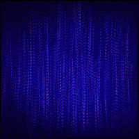 fall falling GIF by Erica Anderson