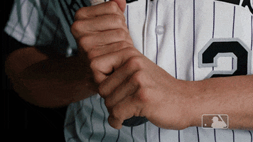 bat grips GIF by MLB