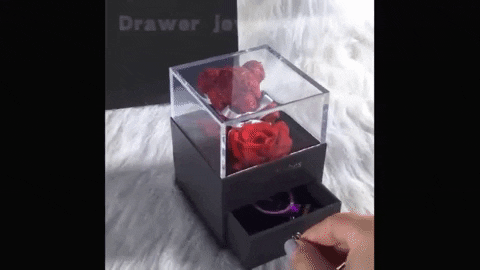 danaid2a7 giphyupload GIF