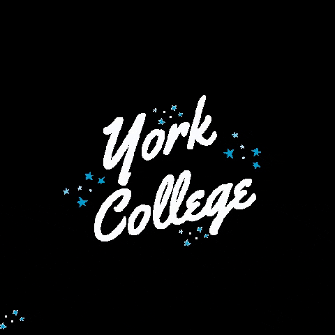 yorkcollegeneb giphygifmaker giphyattribution yorkcollege ycpanthers GIF