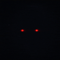 skull glow GIF by Erica Anderson