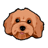 Golden Doodle Puppy Sticker by Neat Pets Mementos