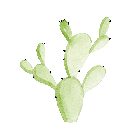 Cactus Decor Sticker