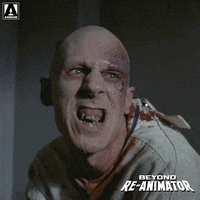 Scared Get Back GIF by Arrow Video