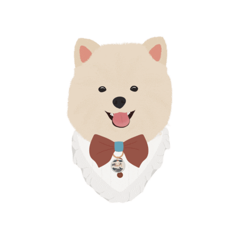 Dog Pomeranian Sticker