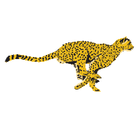 LozzaRachTattooer run tiger leopard cheetah Sticker