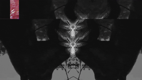 Art Video GIF by jorgemariozuleta