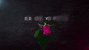 Somebody To Love Focus GIF by OneRepublic