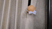 beachbossinfluencers baby bbi pif beachbossinfluencers GIF
