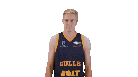 Sport Basketball Sticker by Basket_fi