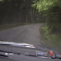 Dashcam GIF by FIA World Rally Championship