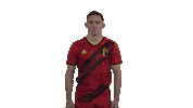 Rode Duivels Belgium Sticker by Royal Belgian FA