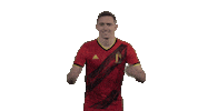 Rode Duivels Belgium Sticker by Royal Belgian FA