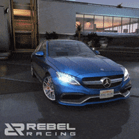 GIF by Rebel Racing