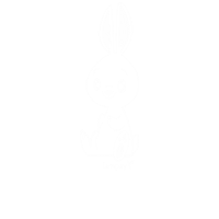 Visa Card Rabbit Sticker by Fampay India