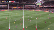 round 20 afl GIF by Adelaide Crows