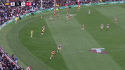 round 20 afl GIF by Adelaide Crows