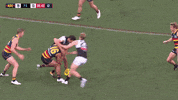 round 20 afl GIF by Adelaide Crows