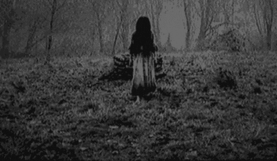 black and white wood GIF