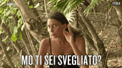 wakeup isola14 GIF by Isola dei Famosi
