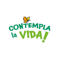 Life Butterfly Sticker by escoles FEDAC