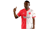 Football Soccer Sticker by SK Slavia Praha