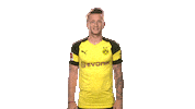 borussia dortmund yes Sticker by Bundesliga