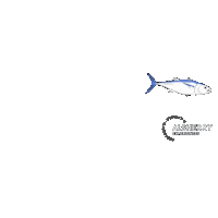 Fish Spain Sticker by Alsherry Experiences
