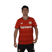 Proud Club Love Sticker by Bayer 04 Leverkusen