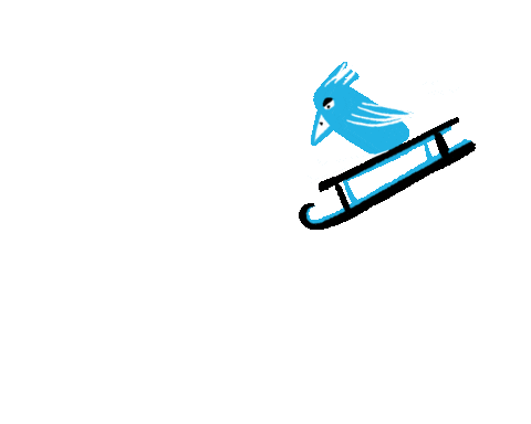 Rebexi giphyupload winter bird sleigh Sticker