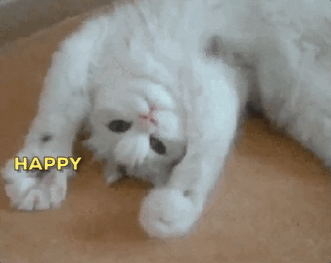 Video gif. Fluffy white cat lays on its back batting its paws back and forth as it stares at us. Text, "Happy Birthday!'