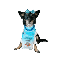 Dog Model Sticker by healthybud