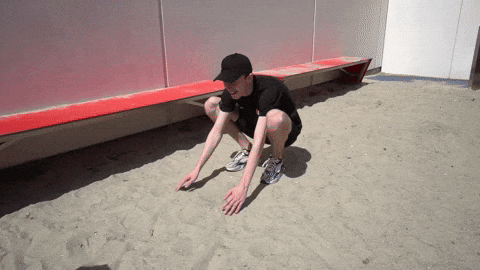 giphy.gif