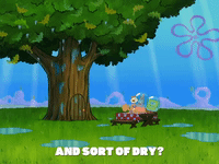 season 8 bubble troubles GIF by SpongeBob SquarePants