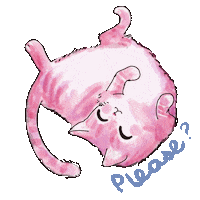 Cat Love Sticker