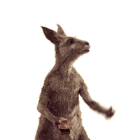 Kangaroo Kanguru Sticker by Die Känguru Chroniken