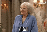 Golden Girls Rose GIF by TV Land