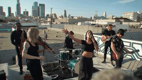 Pfaffc giphyupload GIF