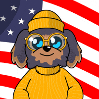 Independence Day Dog GIF by BoDoggos