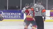 QCStorm storm quad city quad city storm qcstorm GIF