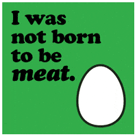 Sooyeonlee GIF by MICA Graphic Design Motion