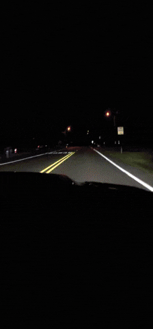 Car Driving GIF by No Cheese Records