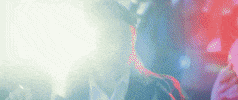 callmesaygrace dance celebrate sassy sass GIF