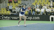 Winning France GIF by Fed Cup by BNP Paribas