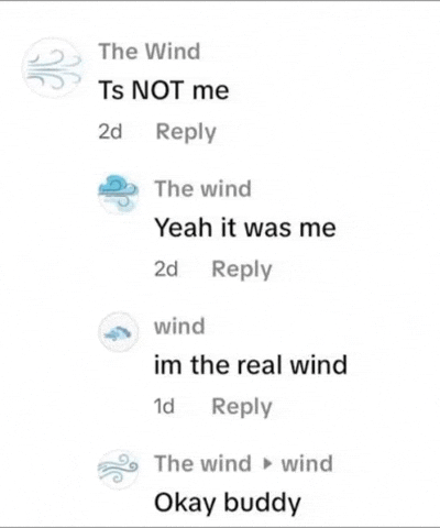 The Wind GIF
