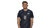 Hamburg Sticker by Bundesliga