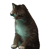 Animation Sunglasses Sticker by Meta